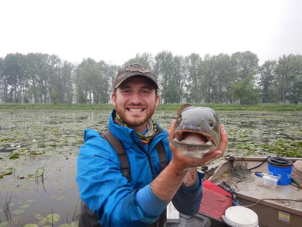 Matt Silverhart defends thesis evaluating fish assemblage variation in Great Lakes wetlands Spotlight